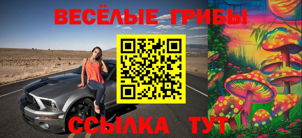 Белгород  Псилоцибиновые грибы ЛСД  Вход с VPN  как найти закладки  Псилоцибиновые грибы MAGIC MUSHROOMS 