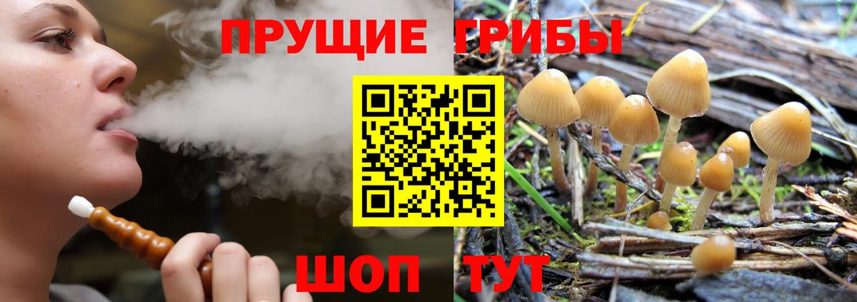 Псилоцибиновые грибы прущие грибы Белгород